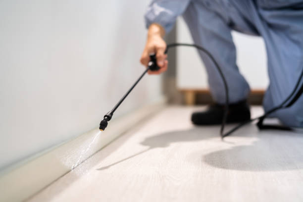 Certified termite inspector examining foundation in Moriches