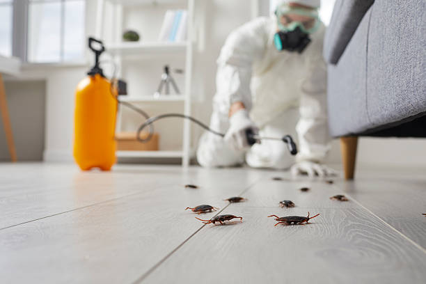 Commercial Kitchen Cockroach Control in Moriches